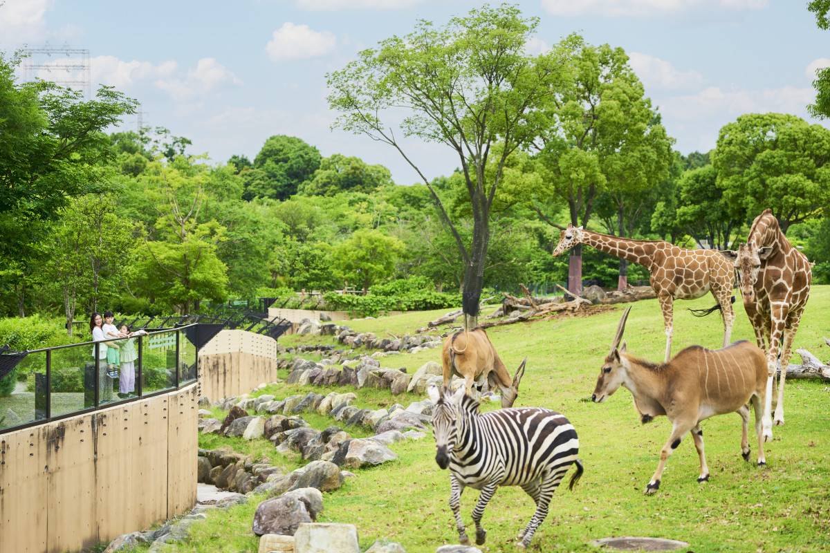 当時のメディア報道・掲載写真